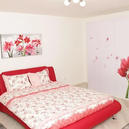 Apartman Macin 4 *